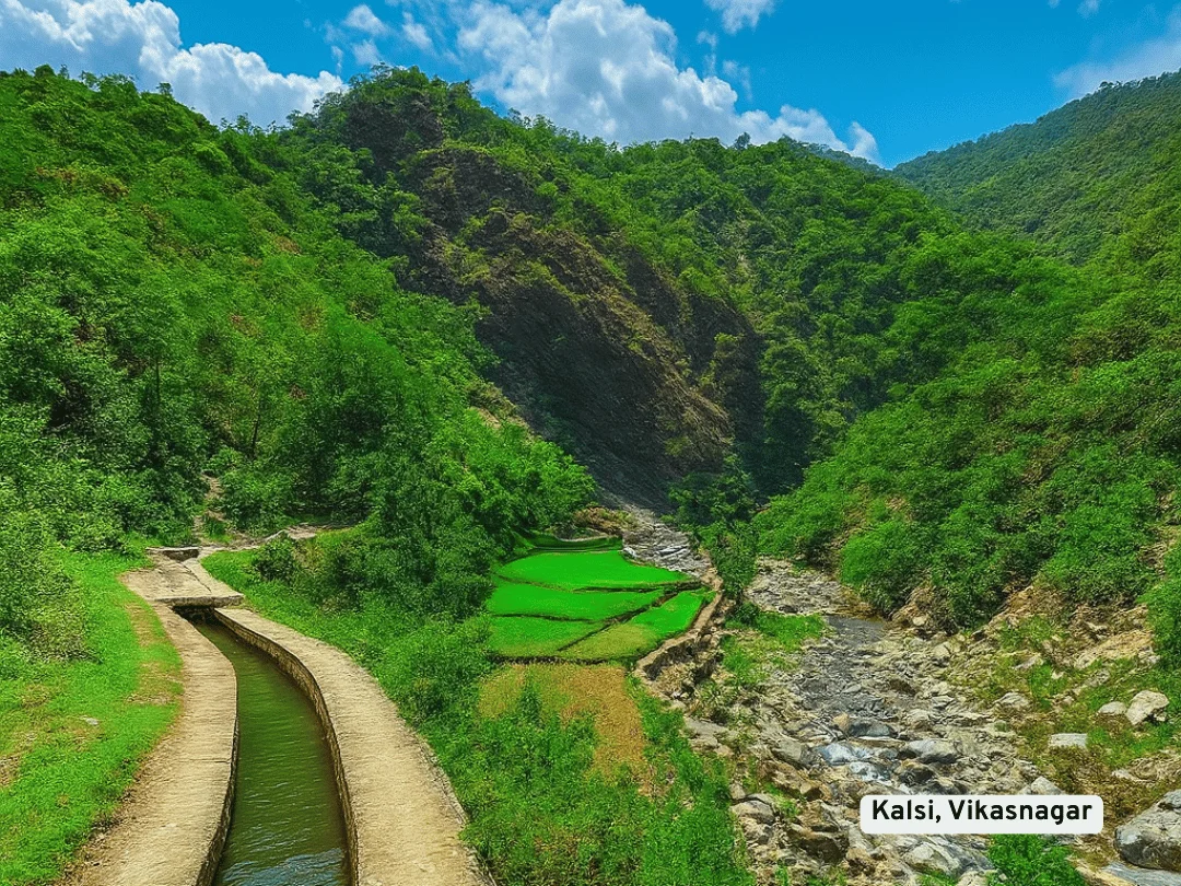 Kalsi, Vikasnagar