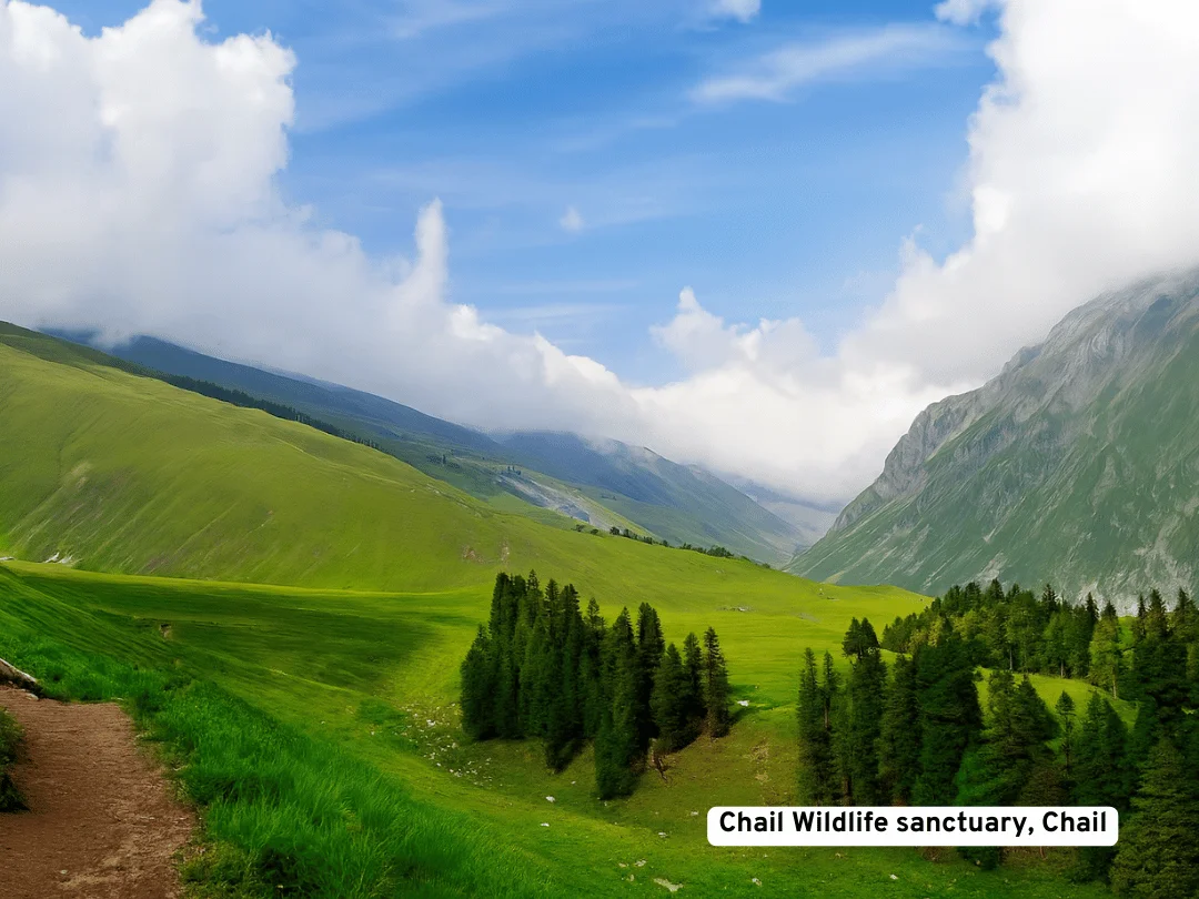Chail Wildlife Sanctuary, Chail