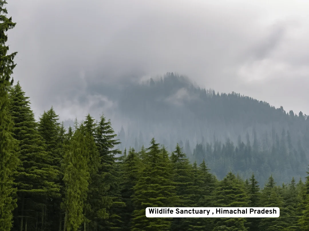 Wildlife Sanctuary, Himachal Pradesh