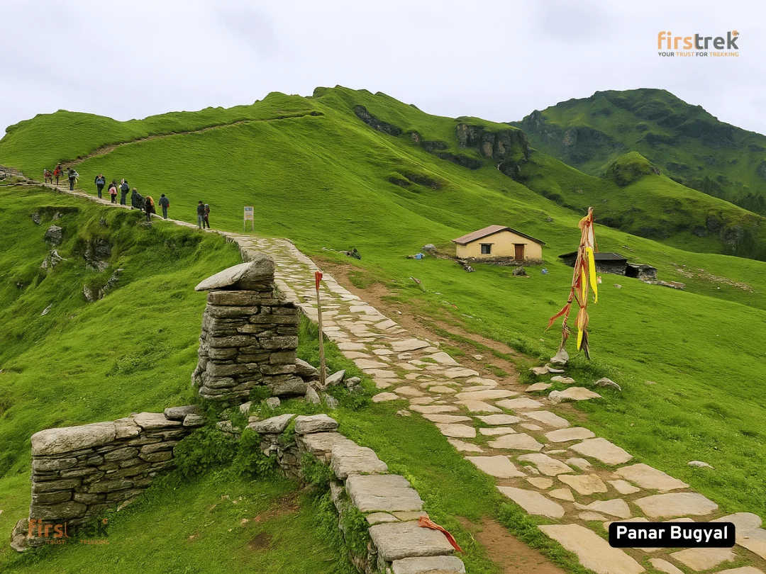 Rudranath Trek -  Panar Bugyal