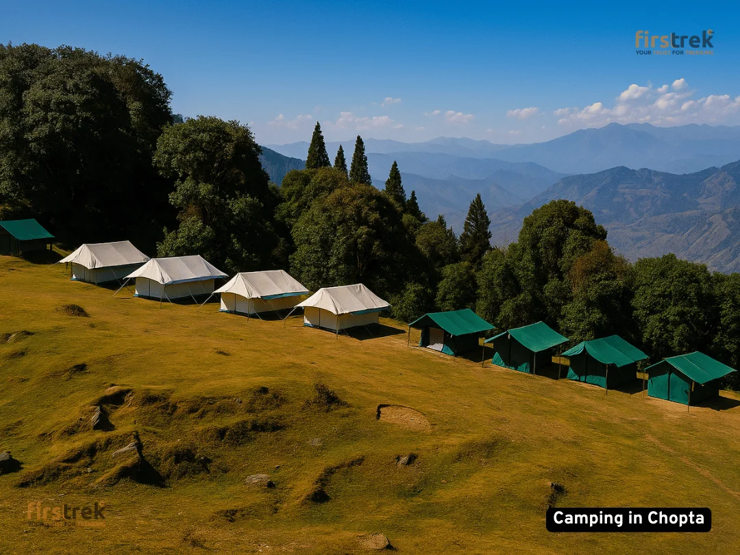 Chopta Chandrashila Tungnath Trek