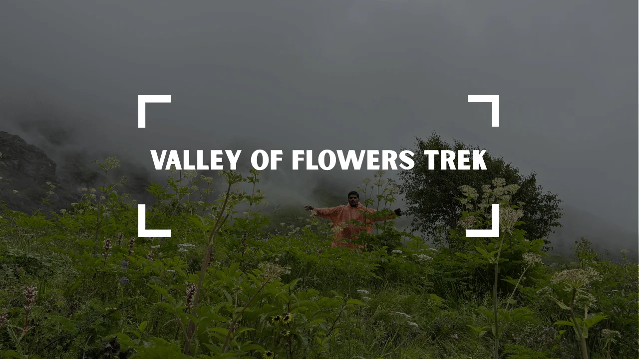Valley of Flowers