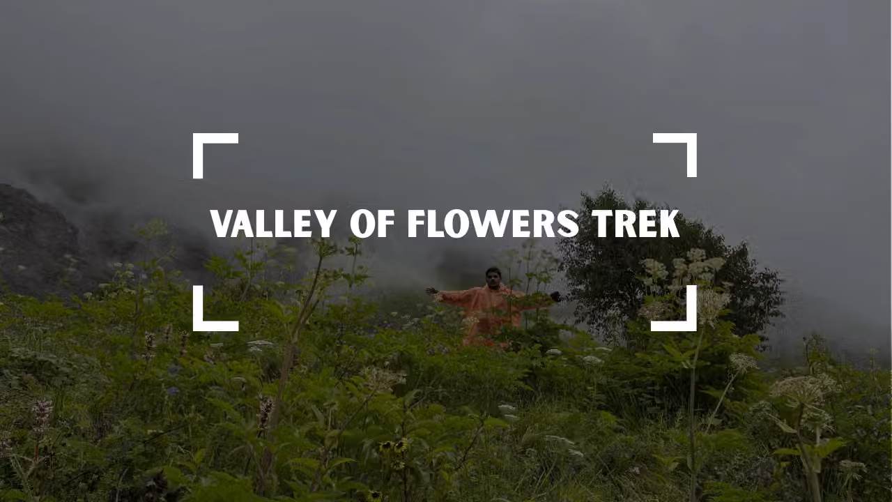 Valley of Flowers Trek