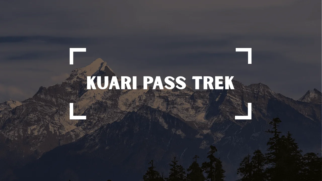 Kuari Pass Trek in Joshimath, Uttrakhand