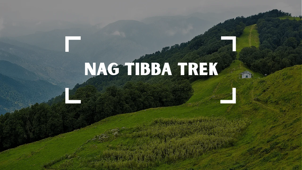 Nag Tibba Trek in Dehradun, Uttrakhand