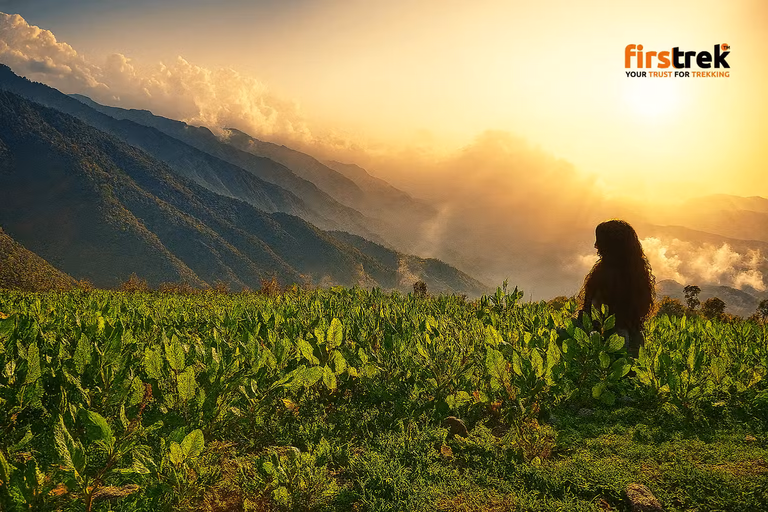 Nag Tibba Trek - Gallery image
