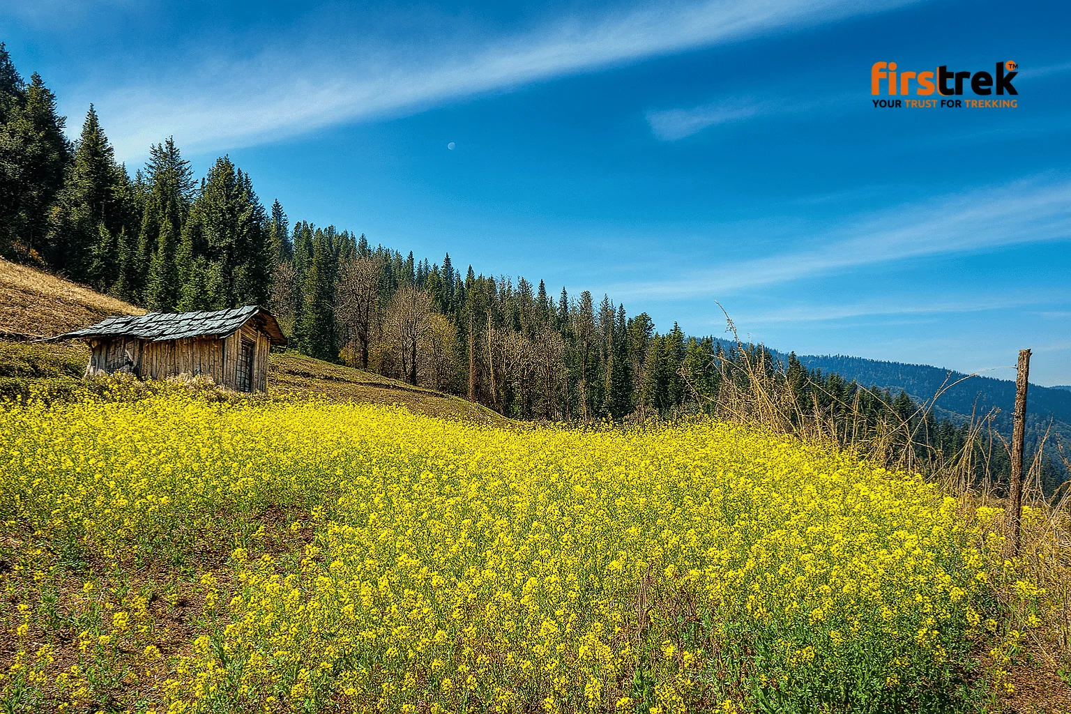 Nag Tibba Trek - Gallery image Nag Tibba Trek - Gallery image