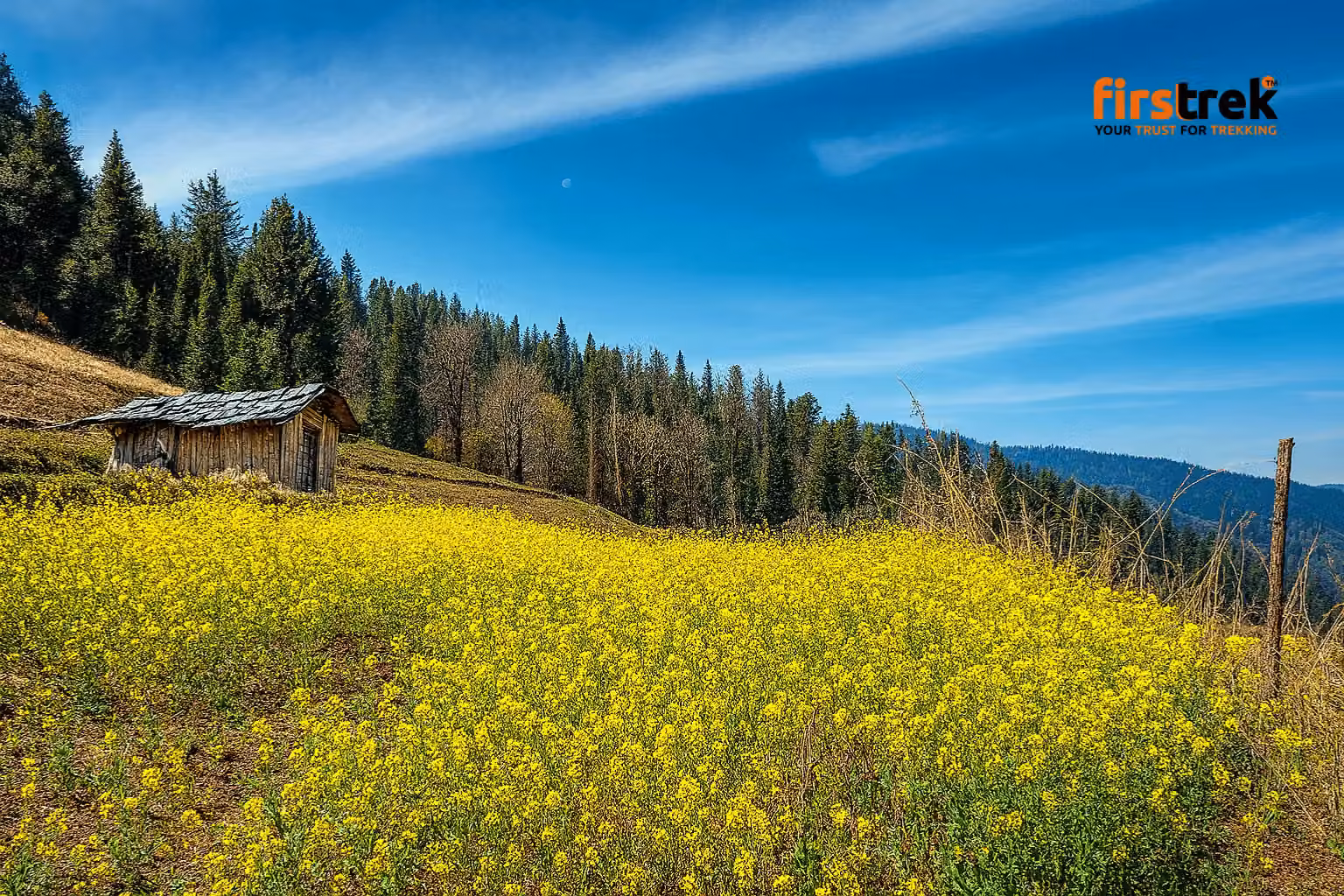 Nag Tibba Trek - Gallery image